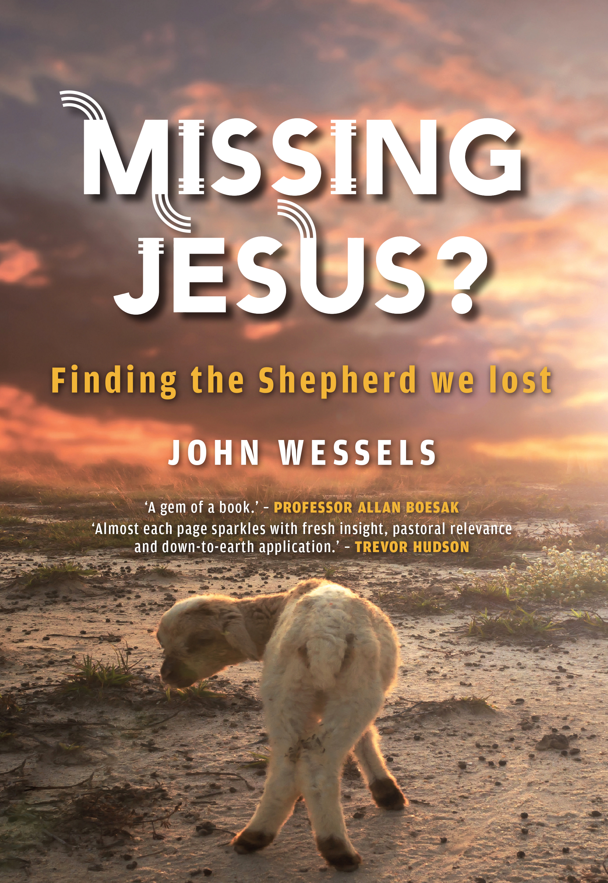 Missing Jesus? Finding the Shepherd we Lost